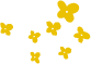 kazari